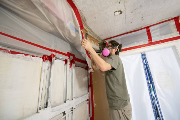 Biohazard Mold Removal in Hacienda Heights, CA